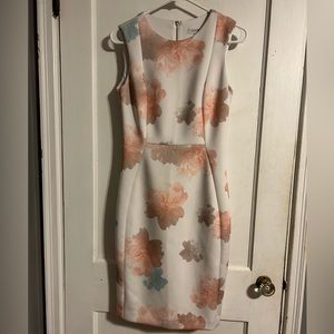 Calvin Klein size 6 dress